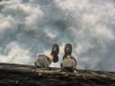 The View Downwards...Climbergirls' feet in the midst of the mist